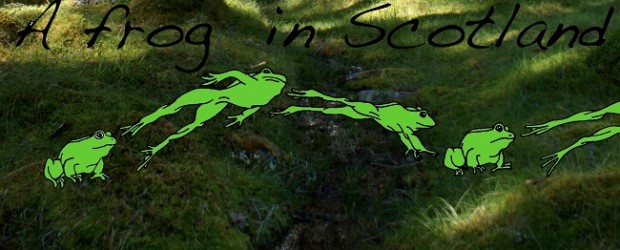 A translator since 1996, I became a freelancer in September 2000. Everything to do with language fascinates me and I also teach French to adults in Edinburgh. I hold a...